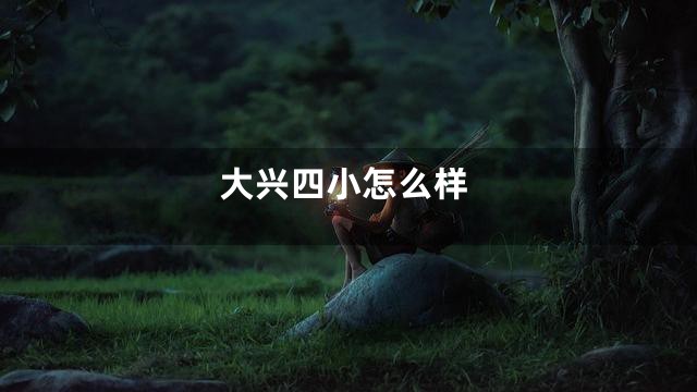 大兴四小怎么样