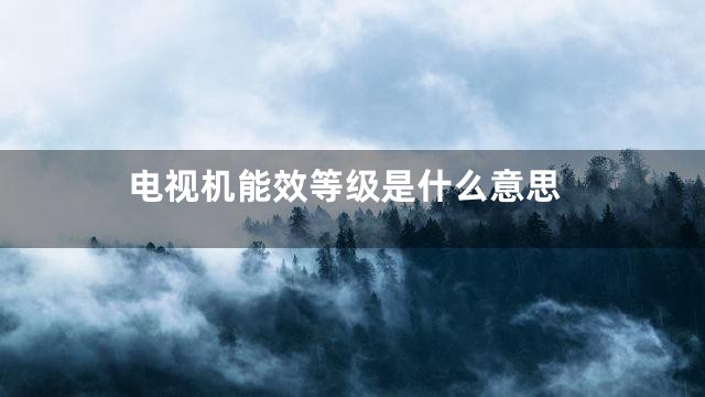 电视机能效等级是什么意思