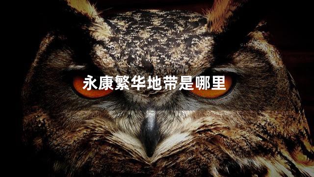 永康繁华地带是哪里