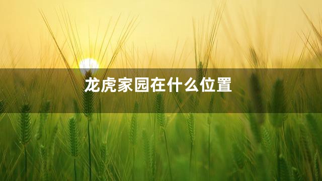 龙虎家园在什么位置