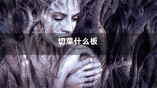 切菜什么板