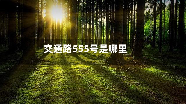 交通路555号是哪里