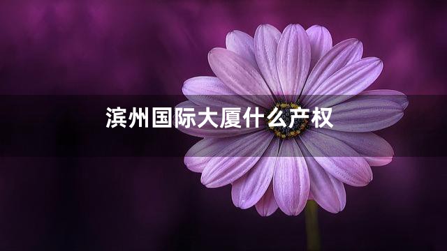 滨州国际大厦什么产权