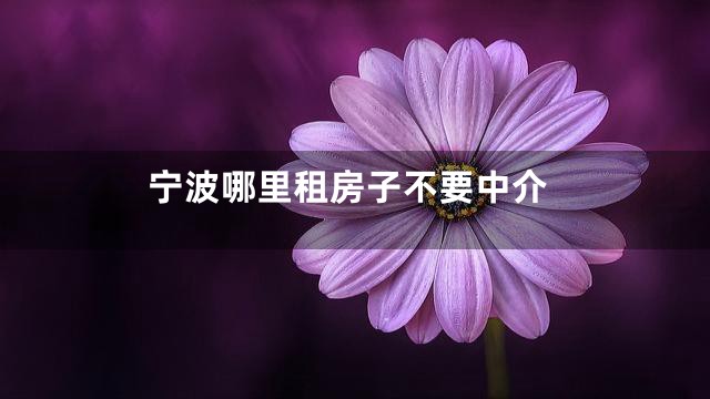 宁波哪里租房子不要中介