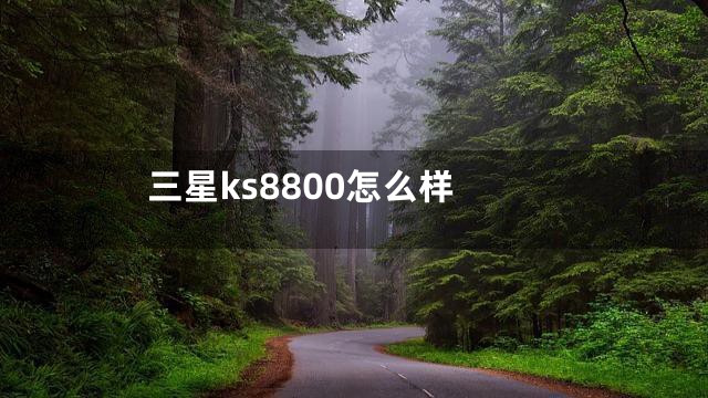 三星ks8800怎么样