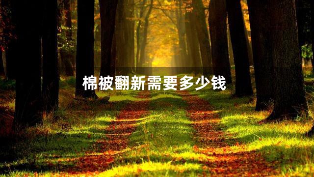 棉被翻新需要多少钱