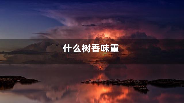 什么树香味重