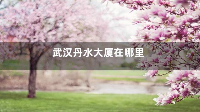 武汉丹水大厦在哪里