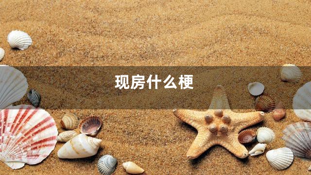 现房什么梗