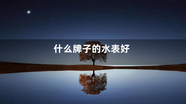 什么牌子的水表好