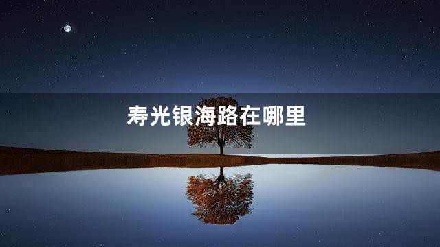 寿光银海路在哪里