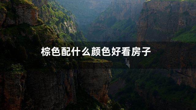 棕色配什么颜色好看房子