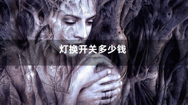 灯换开关多少钱