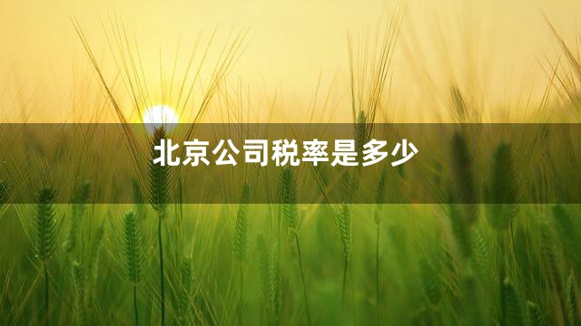 北京公司税率是多少