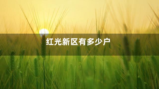 红光新区有多少户