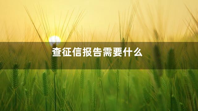 查征信报告需要什么