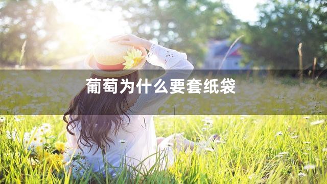 葡萄为什么要套纸袋