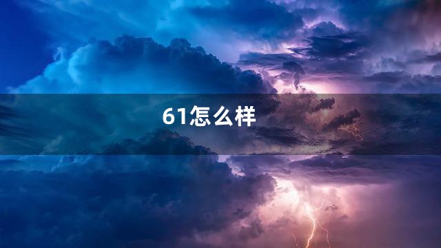 61怎么样