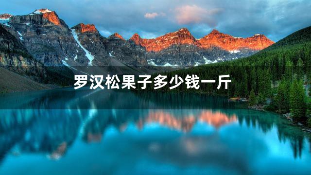 罗汉松果子多少钱一斤
