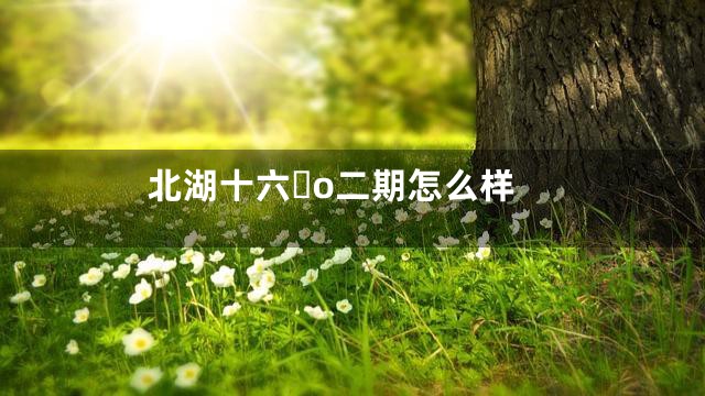 北湖十六o二期怎么样