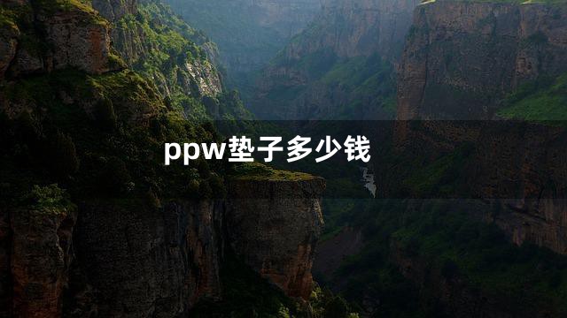 ppw垫子多少钱
