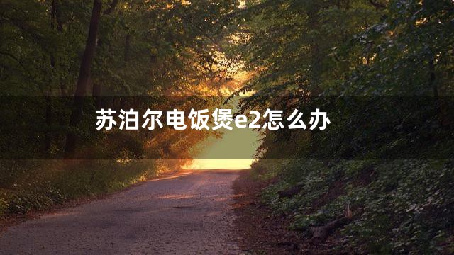 苏泊尔电饭煲e2怎么办
