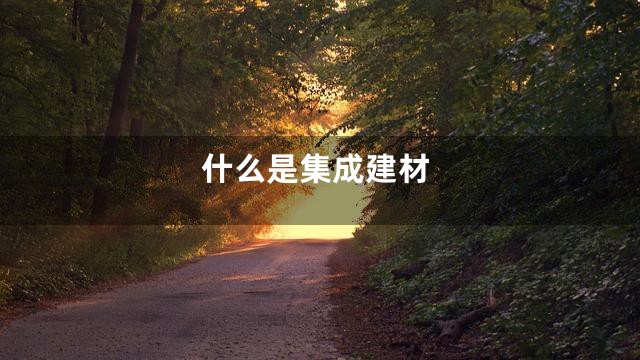 什么是集成建材