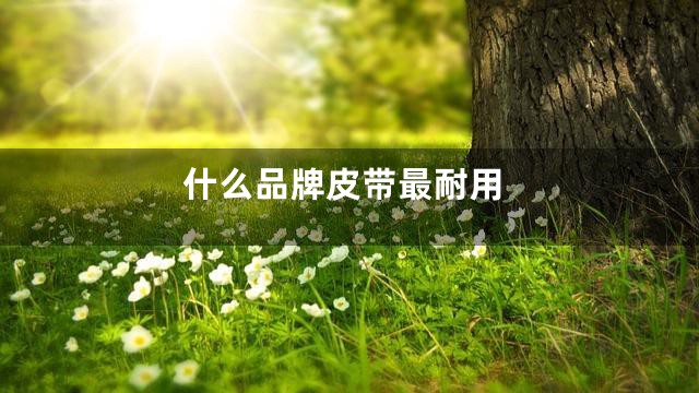 什么品牌皮带最耐用