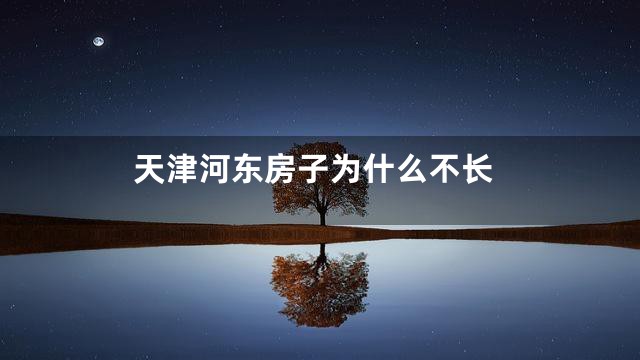 天津河东房子为什么不长