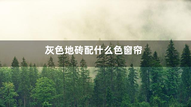 灰色地砖配什么色窗帘