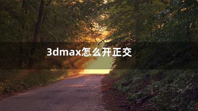 3dmax怎么开正交