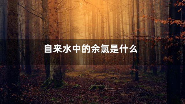 自来水中的余氯是什么