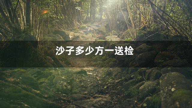 沙子多少方一送检