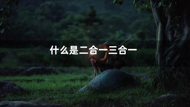 什么是二合一三合一