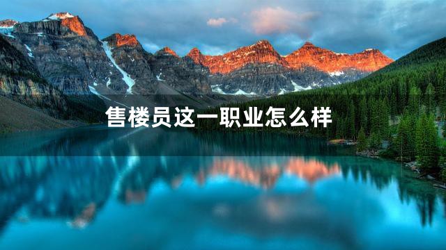 售楼员这一职业怎么样