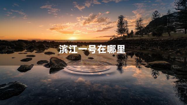 滨江一号在哪里