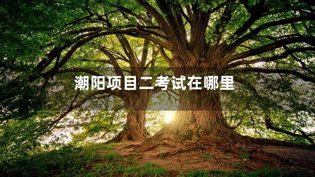 潮阳项目二考试在哪里