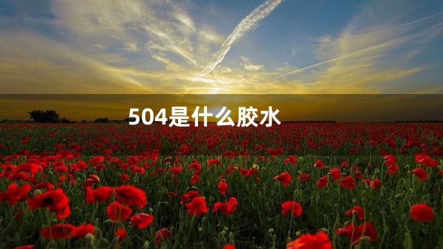 504是什么胶水
