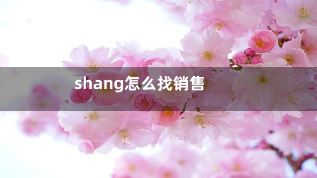 shang怎么找销售