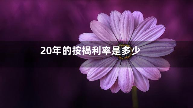 20年的按揭利率是多少