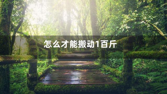 怎么才能搬动1百斤
