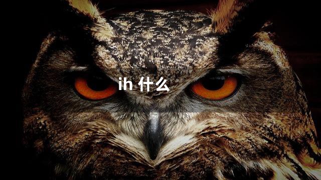ih 什么