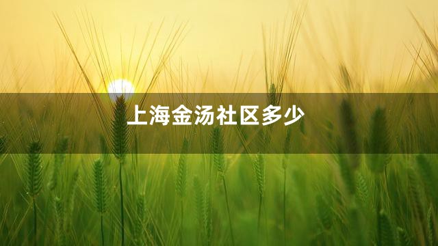 上海金汤社区多少