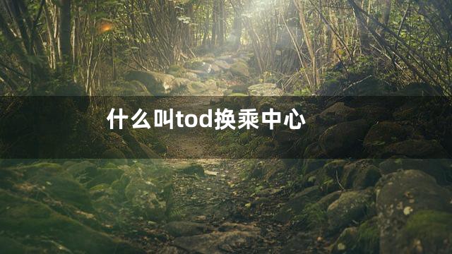 什么叫tod换乘中心