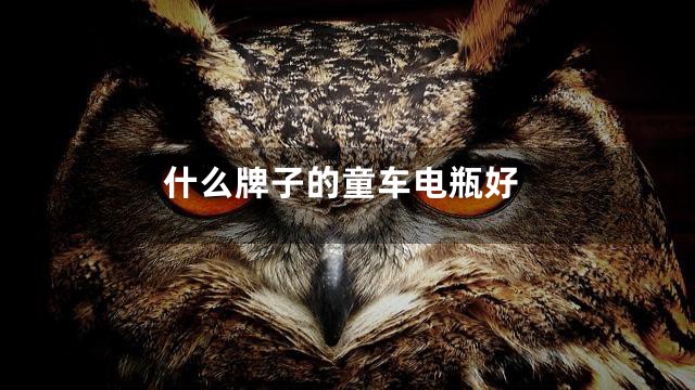 什么牌子的童车电瓶好