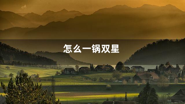 怎么一锅双星