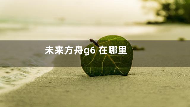 未来方舟g6 在哪里