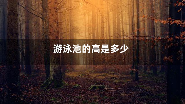 游泳池的高是多少