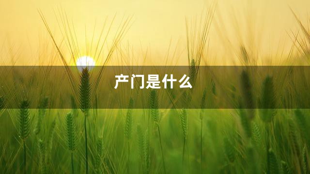 产门是什么