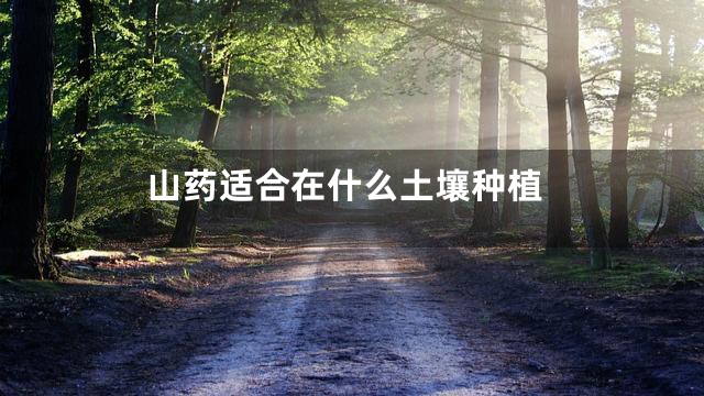 山药适合在什么土壤种植